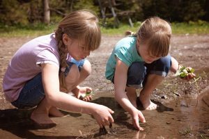 children, girl, water, puddle, frog spawn, nature, outdoors, explore